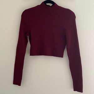 H&M Maroon Cropped Long-sleeve Turtleneck